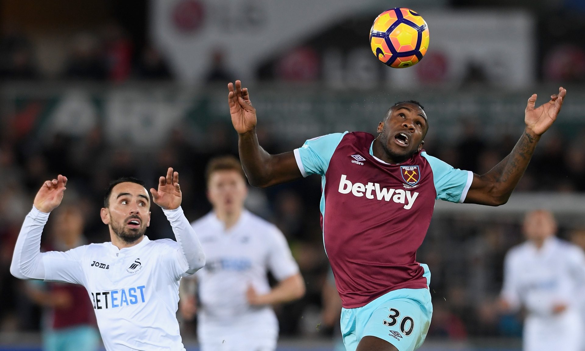 也会对他的 也会对他的